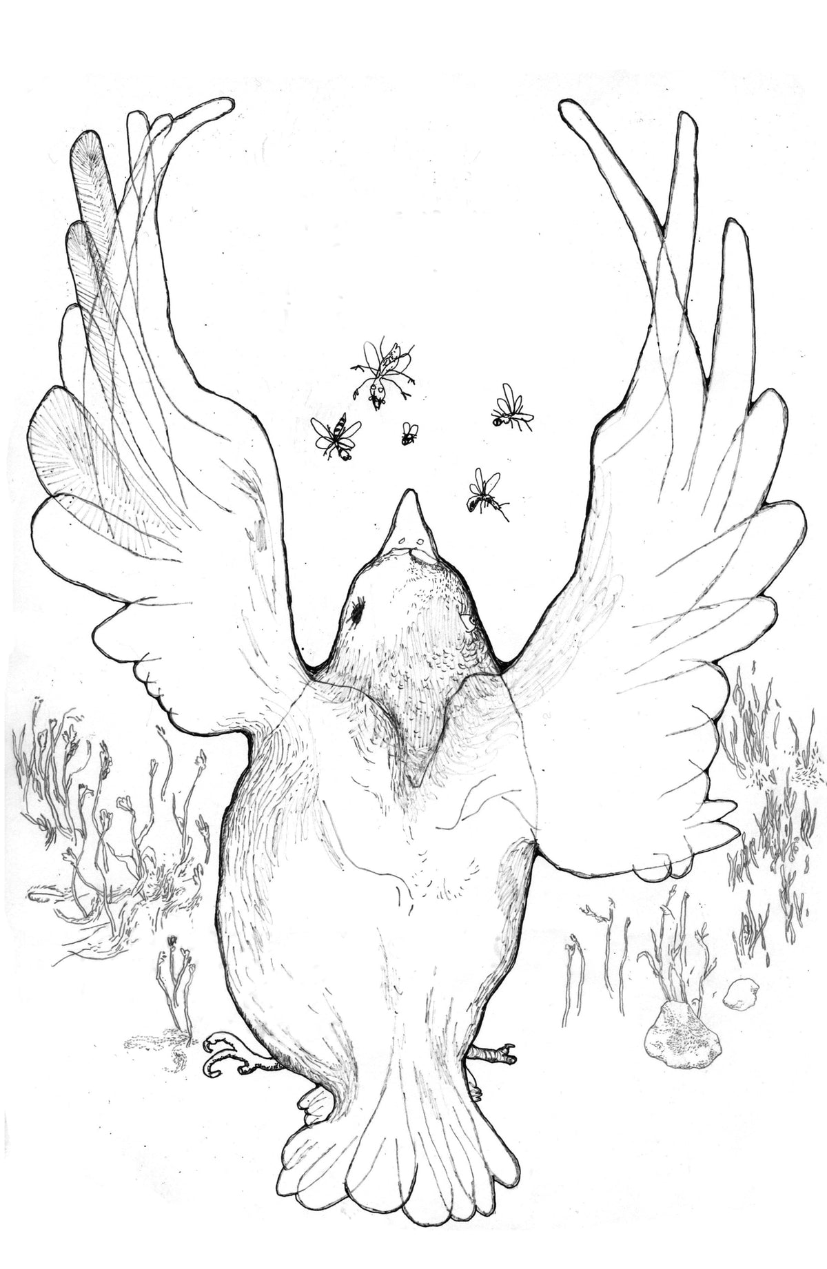 Couverture du livre « Apnée » de Antoine Boute
