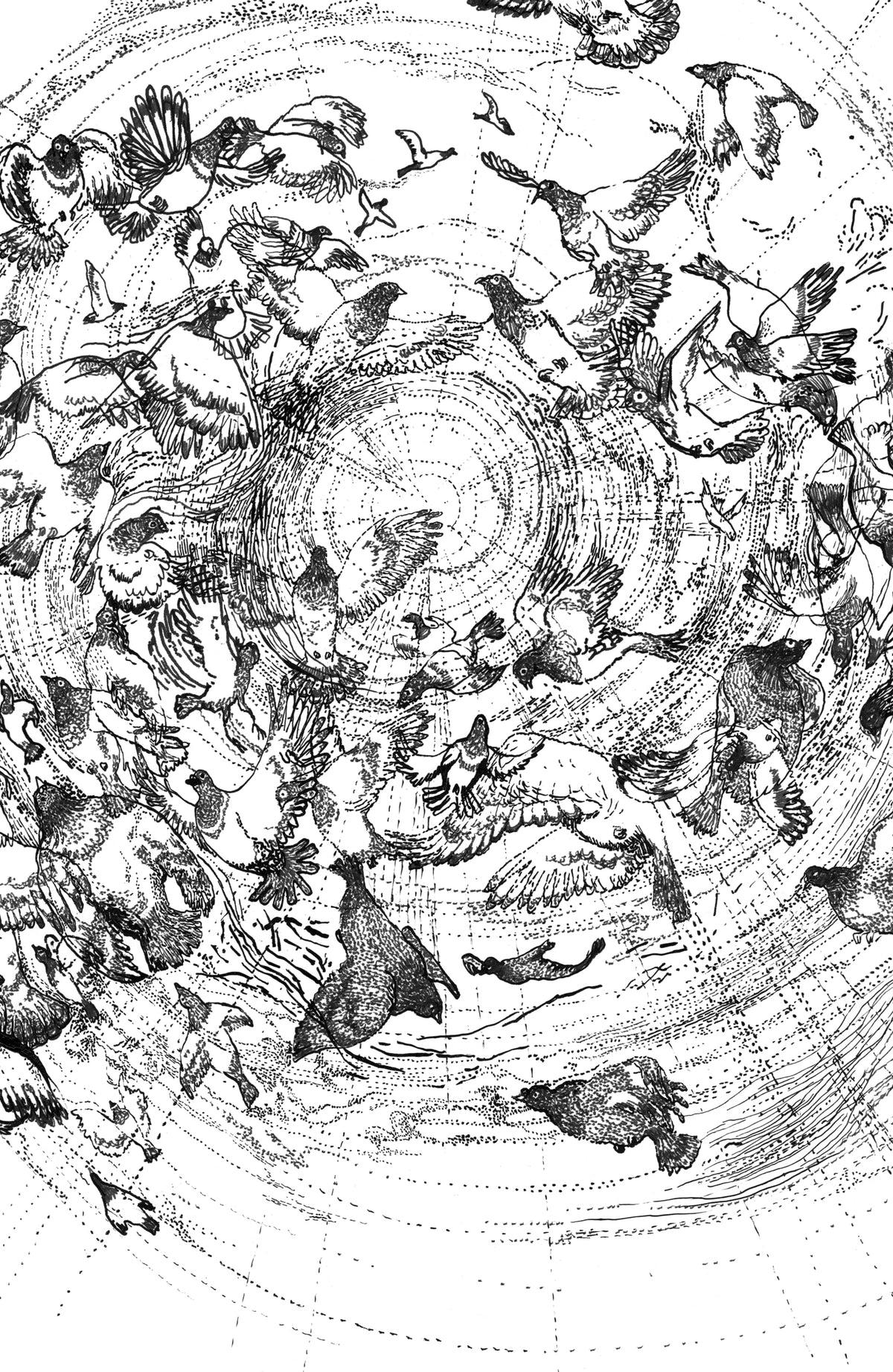 Couverture du livre « Apnée » de Antoine Boute
